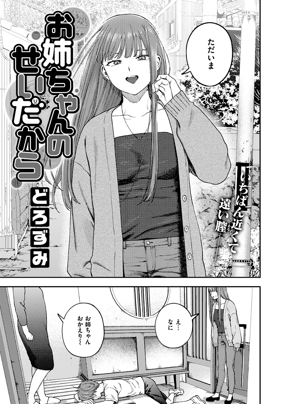 ＜エロ漫画＞お姉ちゃんのせいだから【どろずみ】画像3